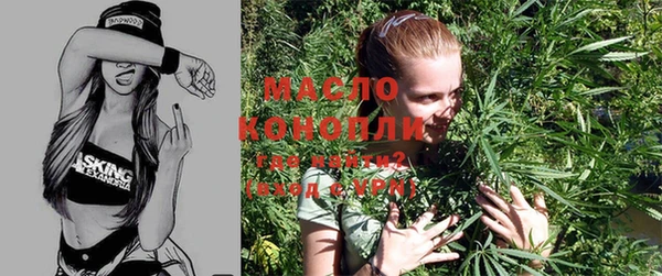 дмт Алексин