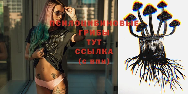 дмт Алексин