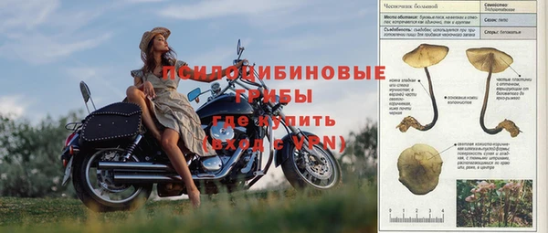дмт Алексин