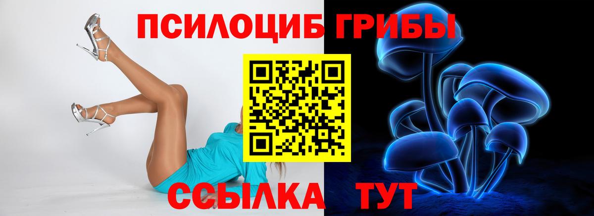 Можга  хочу   Вход с VPN  Псилоцибиновые грибы GOLDEN TEACHER 